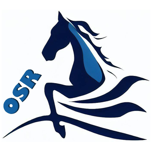 One Stop Racing