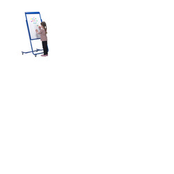 Mobile Magnetic Display Easel