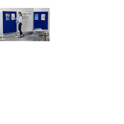 Freestanding Display System