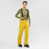 Salomon Snowboard Skiski Mens Pants