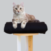 Cat Bed Mattress & Black Cover