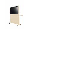 Agile Mobile Media Display