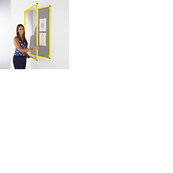 Coloured Frame Tamperproof Noticeboard