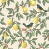 Lemon Leaf Trail Wallpaper Cream / Orange Holden 13870