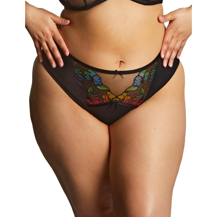 Sculptresse by Panache Eden High Leg Brief