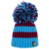 Big Bobble Hats Frozen Plums Beanie