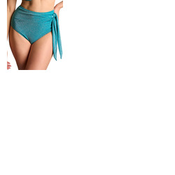 Panache Sparkle High Waist Bikini Brief