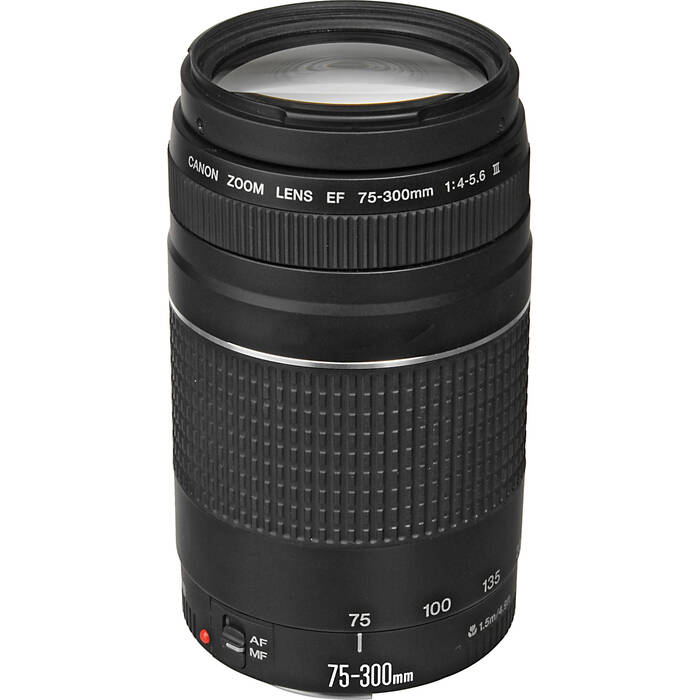 Canon EF 75-300mm f/4-5. 6 III Lens
