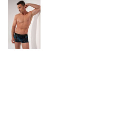 HOM Fremont Trunk