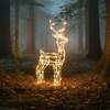 Christmas Reindeer Lights