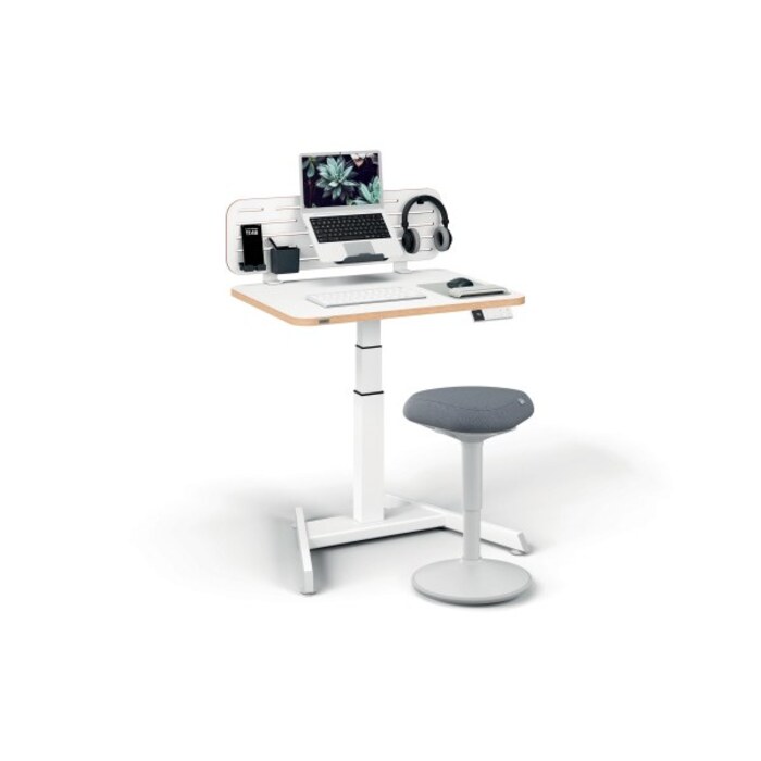 Leitz Ergo Small Electric Sit Standing Desk with Stand-Up Reminder