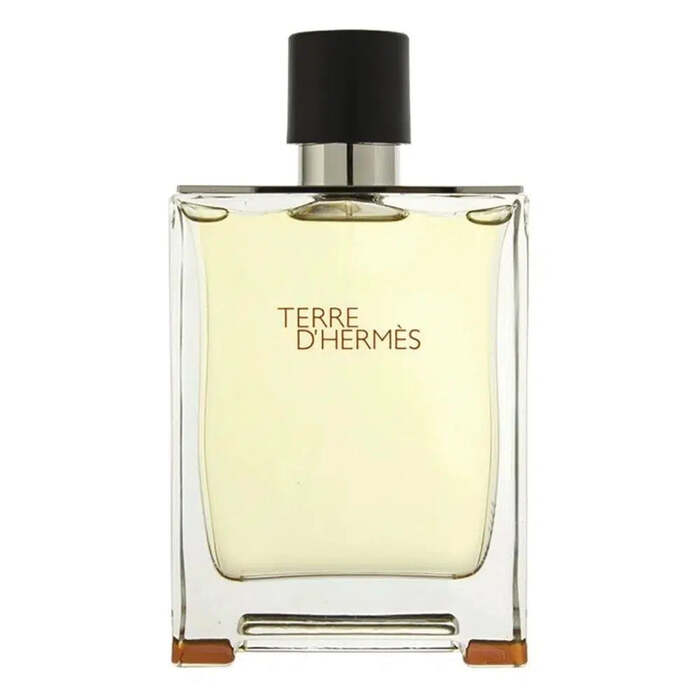 Hermès Terre d'Hermès Eau de Toilette-100ml Spray