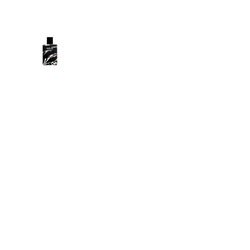 Replay Signature for Men Eau de Toilette