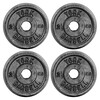 York 4 x 2. 5kg Black Cast Iron 1Inch Plates