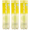 Head Team Tennis Balls - 1 Dozen