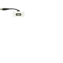 USB2. 0 Type-A Socket to Female Tail Module Wall Plate