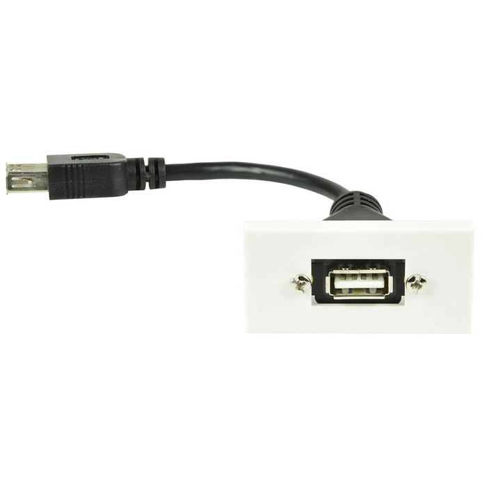 USB2. 0 Type-A Socket to Female Tail Module Wall Plate