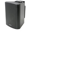 100 Volt Background Speaker 5. 25" Black
