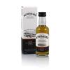 Bowmore 12 Year Old