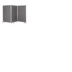 Mobile Tri Screen