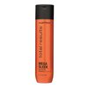 Total Results Mega Sleek Shampoo 300ml