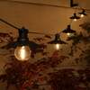 Noma 6 Connectable Scalloped Saucer LED Festoon Lights