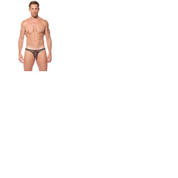 Gregg Homme Dragonfly Brief