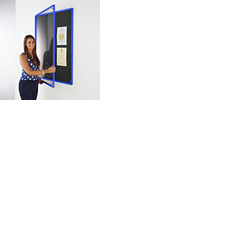 Coloured Frame Tamperproof Noticeboard