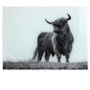 Nick Field Black & White Piper The Highland Bull Glass Board