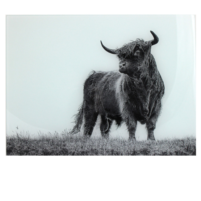 Nick Field Black & White Piper The Highland Bull Glass Board