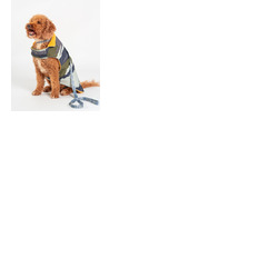 Saltrock 'Waga' Water Resistant Padded Dog Jacket Green Camo XL