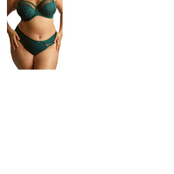 Sculptresse Josephine High Leg Brief