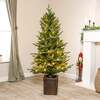 Winchester Fir Artificial Pre-Lit PE Christmas Tree 4. 5FT