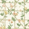 Trailing Floral Trellis Wallpaper Orange / Cream Holden 14200