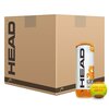 Head TIP Orange Mini Tennis Balls
