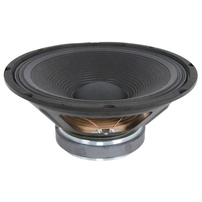 12" Speaker Driver 200 Watts