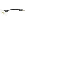 USB2. 0 Type-B Socket to Female Type-A Tail Module Wall Plate