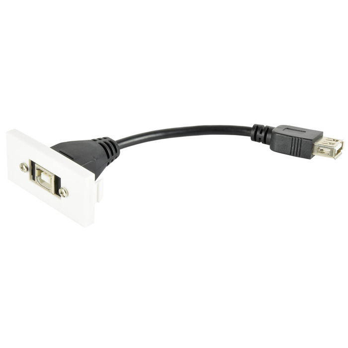 USB2. 0 Type-B Socket to Female Type-A Tail Module Wall Plate
