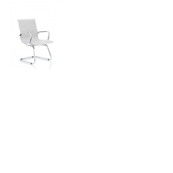 Nola Cantilver Chair