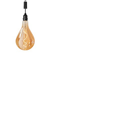 Battery Operated Glass Filament Bulb with On/Off Switch & Timer