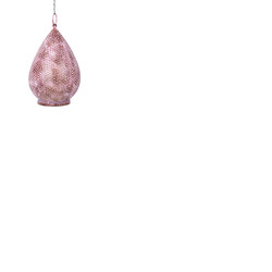 Decorative Hanging Garden Light with USB Rechargeable LED - Light Pink