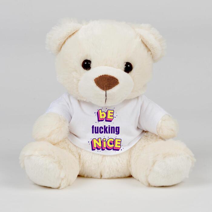 Be Fucking Nice Swear Bear