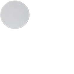 Ceiling Speaker 8 Ohm - 5. 25"