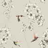 Harlequin Amazilia Hummingbird Wallpaper Silver / White HAMA111062