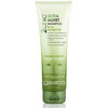 Giovanni 2Chic Ultra-Moist Shampoo