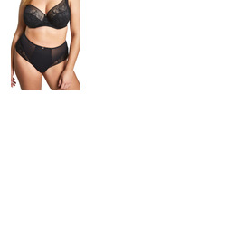 Sculptresse by Panache Dream Deep Brief