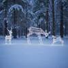 Outdoor Light Up Laser Ribbon Christmas Reindeer Mother and Babies Set