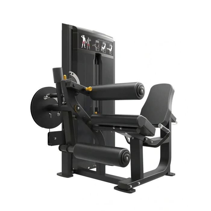 Pro Series Leg Extension Leg Curl