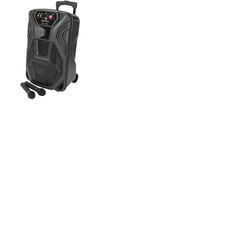 12" Portable PA Speaker with VHF Mics, Media Player & Bluetooth