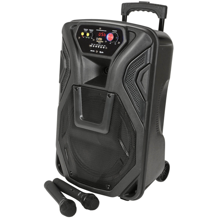 12" Portable PA Speaker with VHF Mics, Media Player & Bluetooth